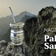 Srebrne naczynie do yerba mate Palo Santo na tle górskich szczytów.