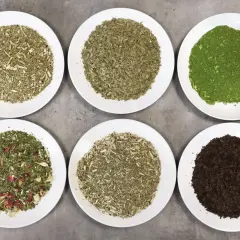 Sześć talerzy z różnymi rodzajami yerba mate, od zielonej po ciemnobrązową. Poznaj fascynujące verde mate właściwości!