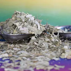 Suszone liście yerba mate, znane jako monte verde, w metalowych zaparzaczach na kolorowym tle.