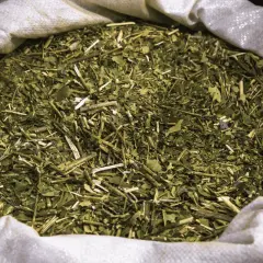 Wsypana do worka yerba mate suszona powietrzem, gotowa do zaparzenia.