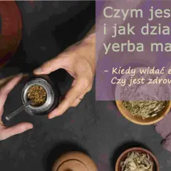 Dłonie przygotowują yerba mate. Kiedy widać efekty jej picia? Dowiedz się, jak działa yerba mate i czy jest zdrowa.