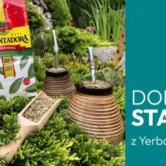 Zestaw do yerba mate: paczka AguantaDora, drewniana łopatka z suszem i dwa naczynia z bombillami. Idealny dobry start z yerba mate.