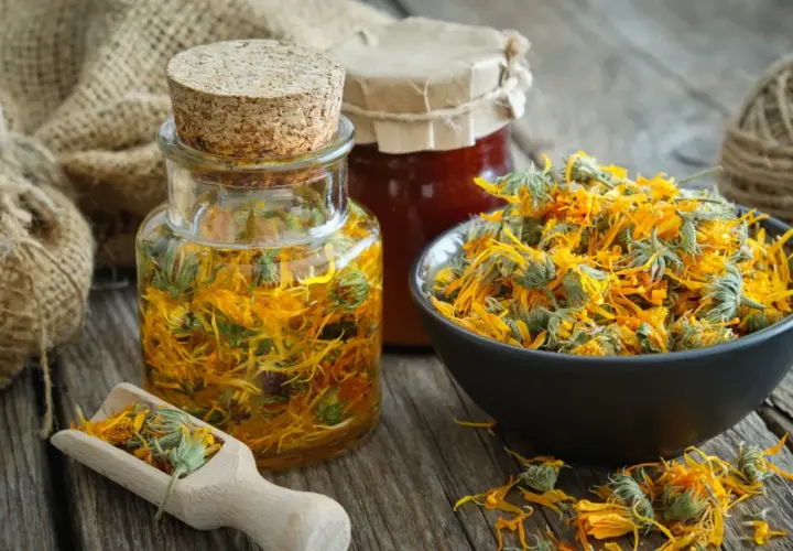 Nalewka z nagietka w butelce i suszone kwiaty w misce. Naturalne wsparcie dla żołądka.