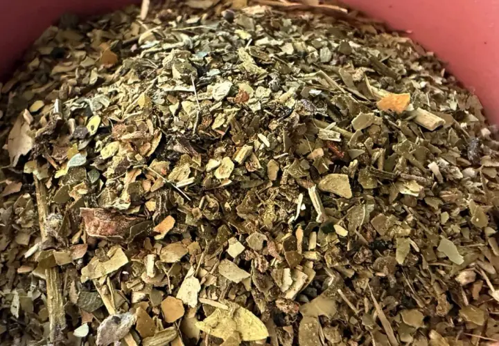 Suszone liście yerba mate w różowych naczyniu. Czy yerba odwadnia? To pytanie nurtuje wielu miłośników tego napoju.