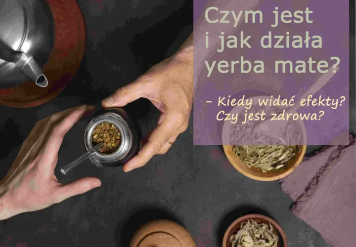 Dłonie przygotowują yerba mate. Kiedy widać efekty jej picia? Dowiedz się, jak działa yerba mate i czy jest zdrowa.