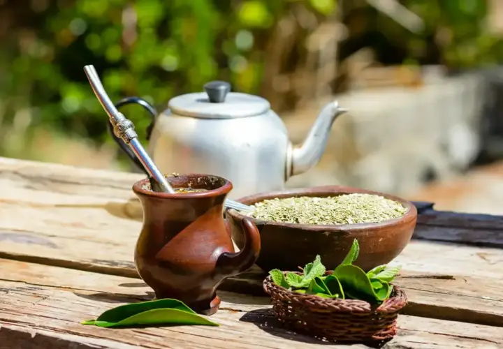 Tradycyjny kubek z yerba mate, obok miseczka z suszem i świeża mięta. Idealny zestaw na orzeźwiający napój.