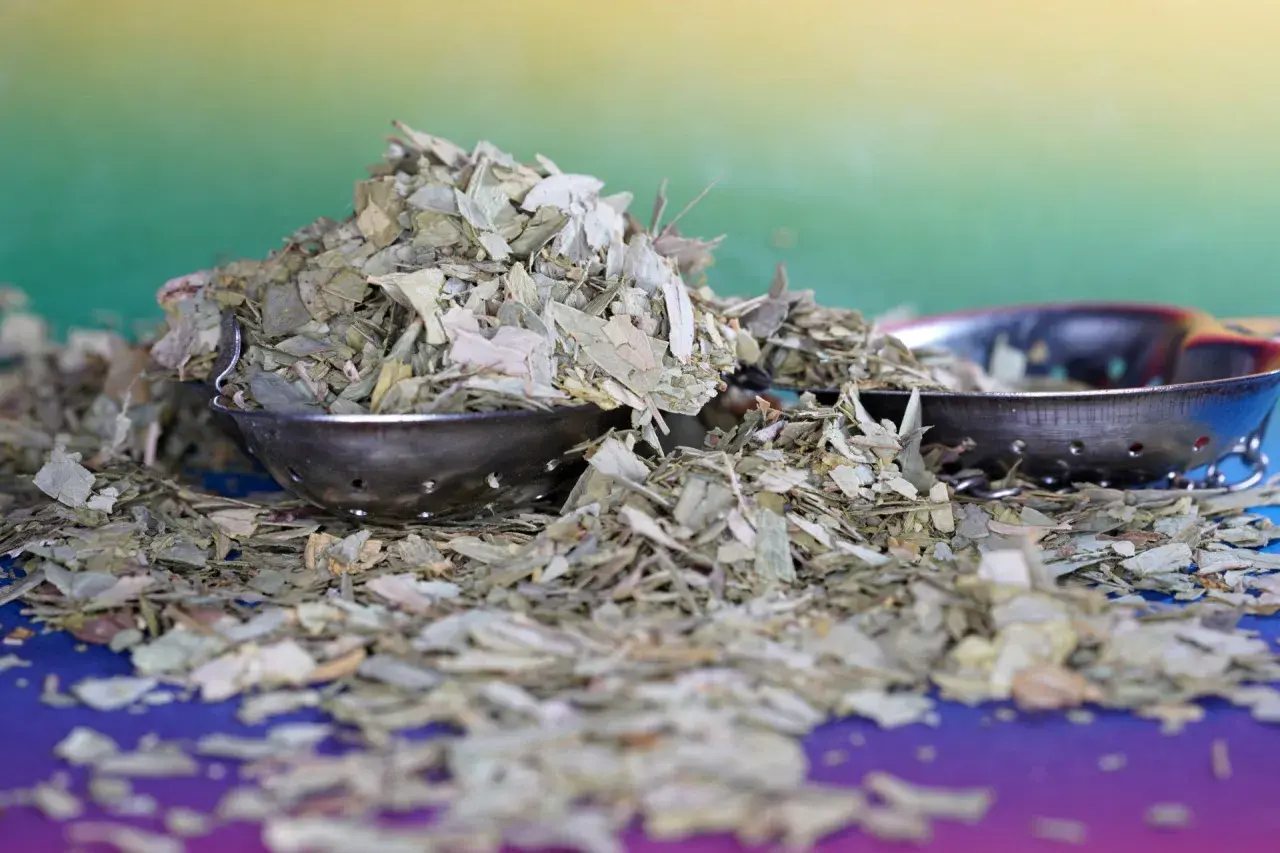 Suszone liście yerba mate, znane jako monte verde, w metalowych zaparzaczach na kolorowym tle.