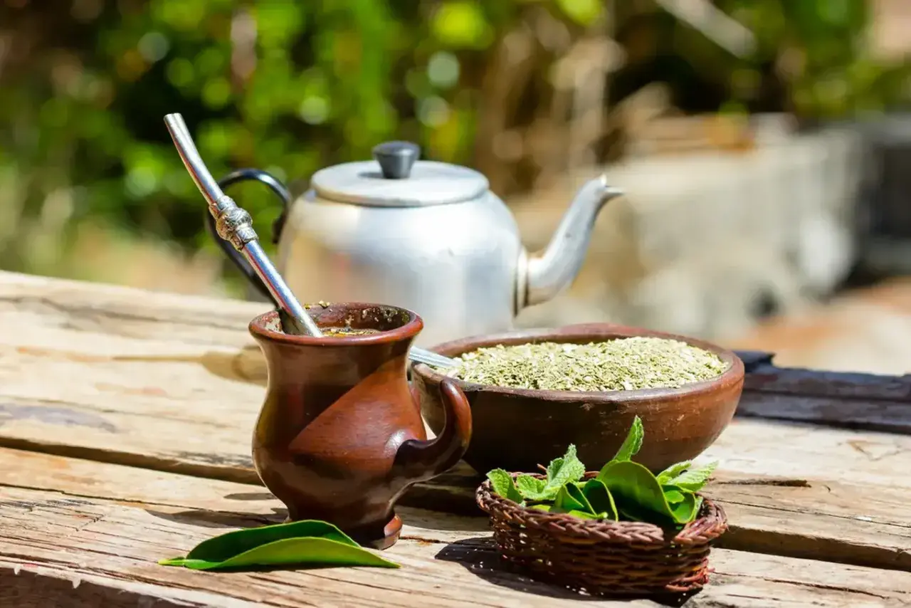 Tradycyjny kubek z yerba mate, obok miseczka z suszem i świeża mięta. Idealny zestaw na orzeźwiający napój.