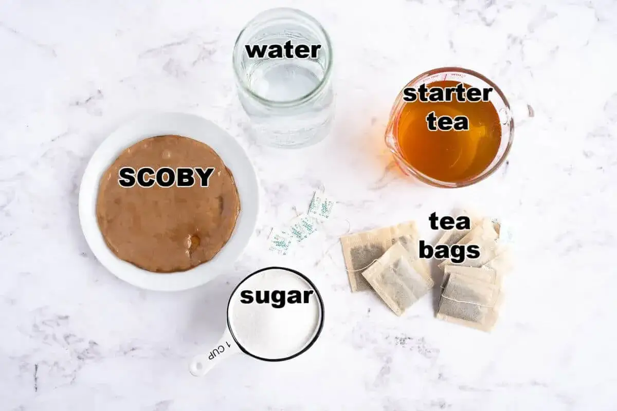 Składniki do przygotowania kiszonej herbaty: SCOBY, woda, cukier, herbata w torebkach i starter.