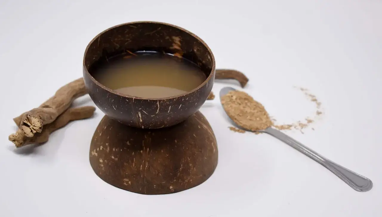 Kawa kava jak przygotować? Napój z korzenia kava w łupinie kokosa, obok łyżka proszku i kawałek korzenia.